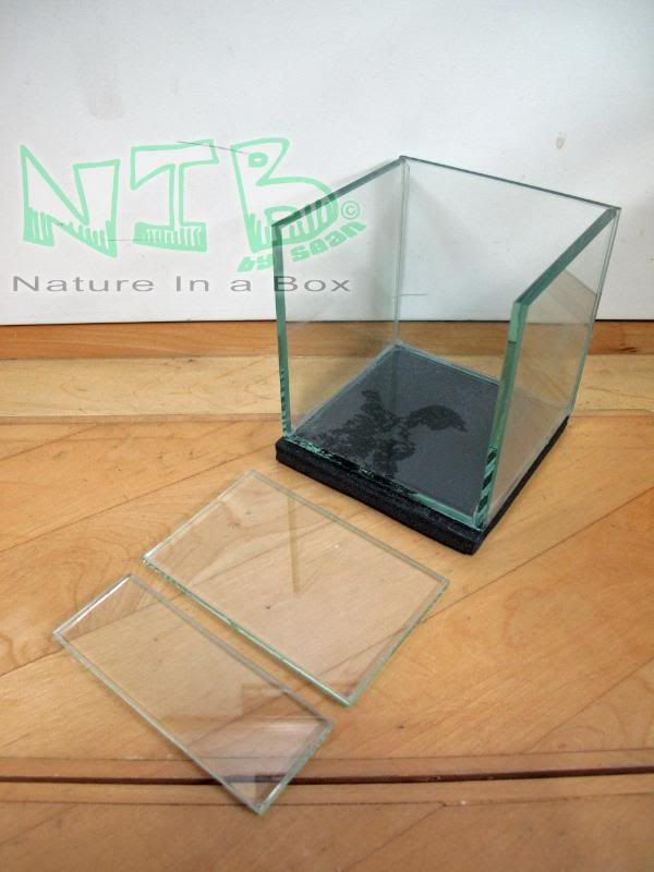 Convert a glass aquarium to a European style terrarium Dendroboard